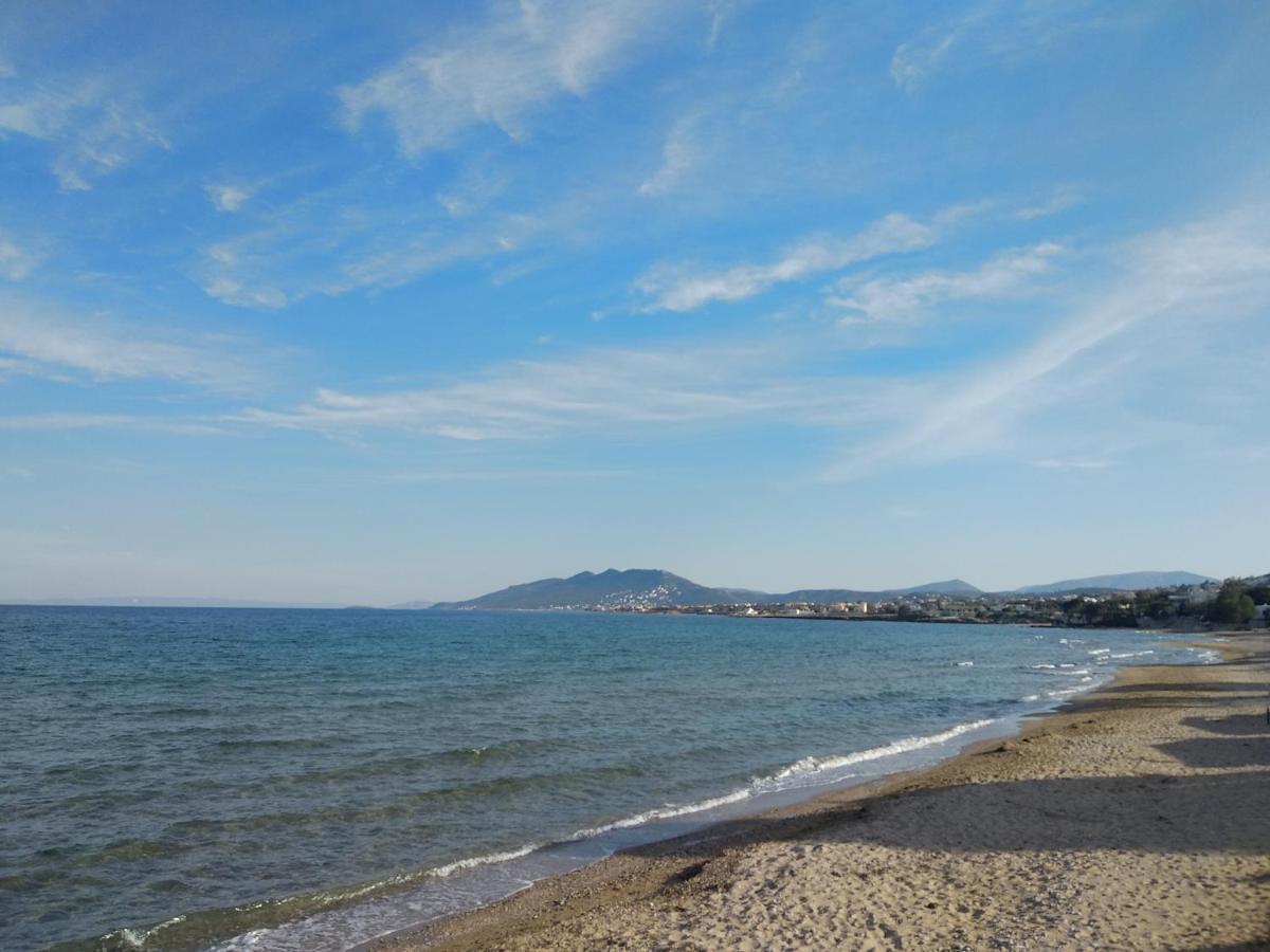 La Vita Apartments-Near Airport & Sea 阿特米达 外观 照片