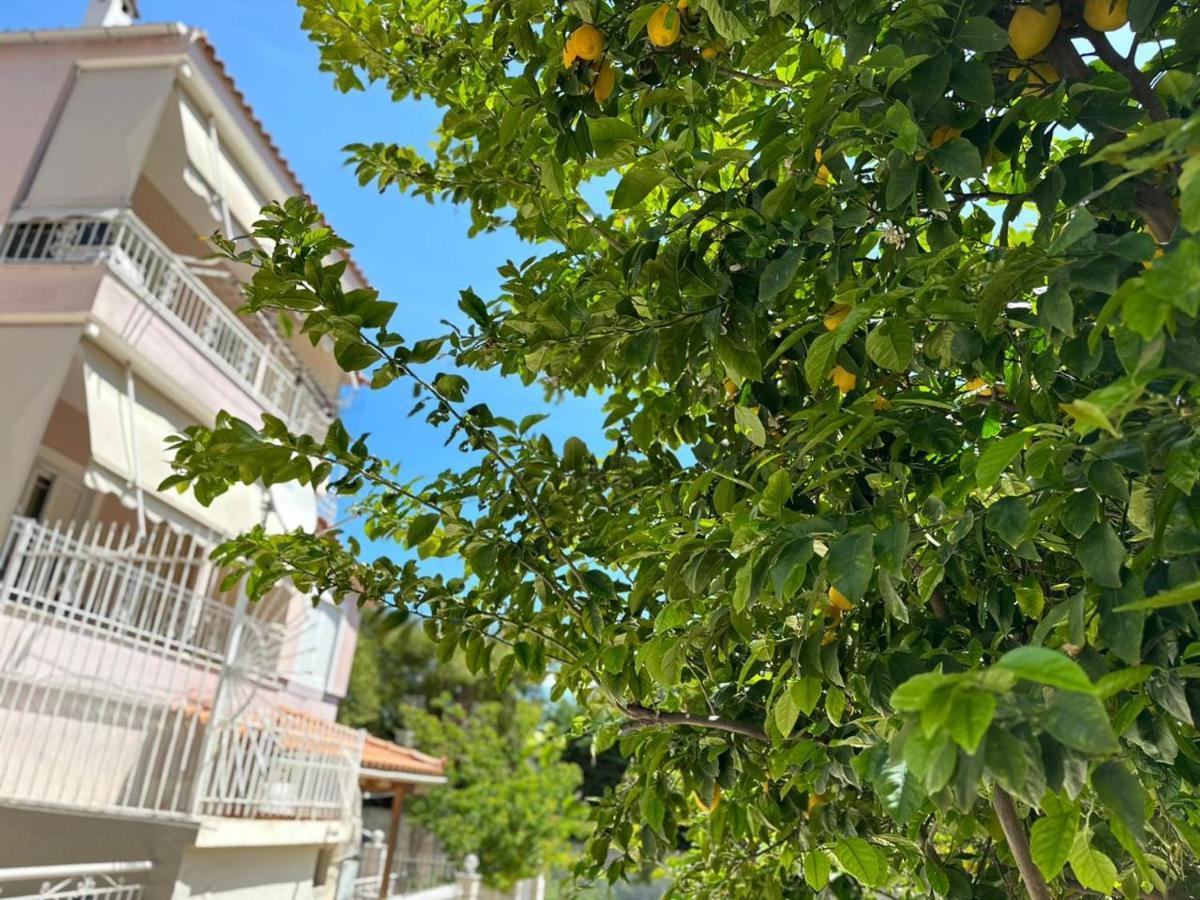 La Vita Apartments-Near Airport & Sea 阿特米达 外观 照片