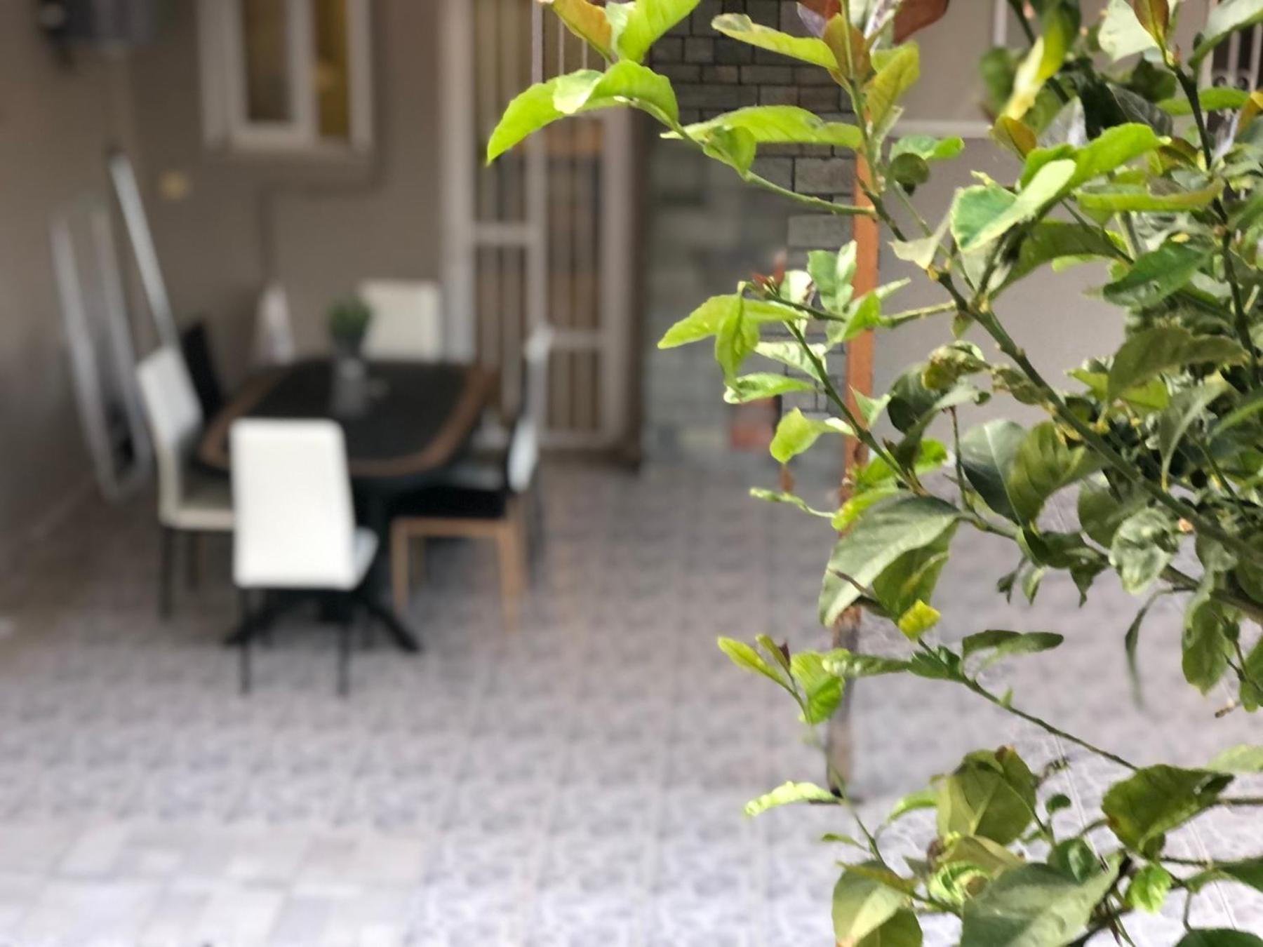 La Vita Apartments-Near Airport & Sea 阿特米达 客房 照片